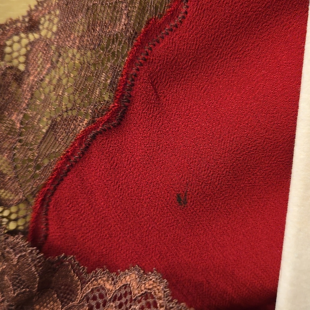 Reformation X Kacey Musgraves Stella Lace Trim Silk Dress - Crimson Size 8 Flaw - Picture 12 of 14